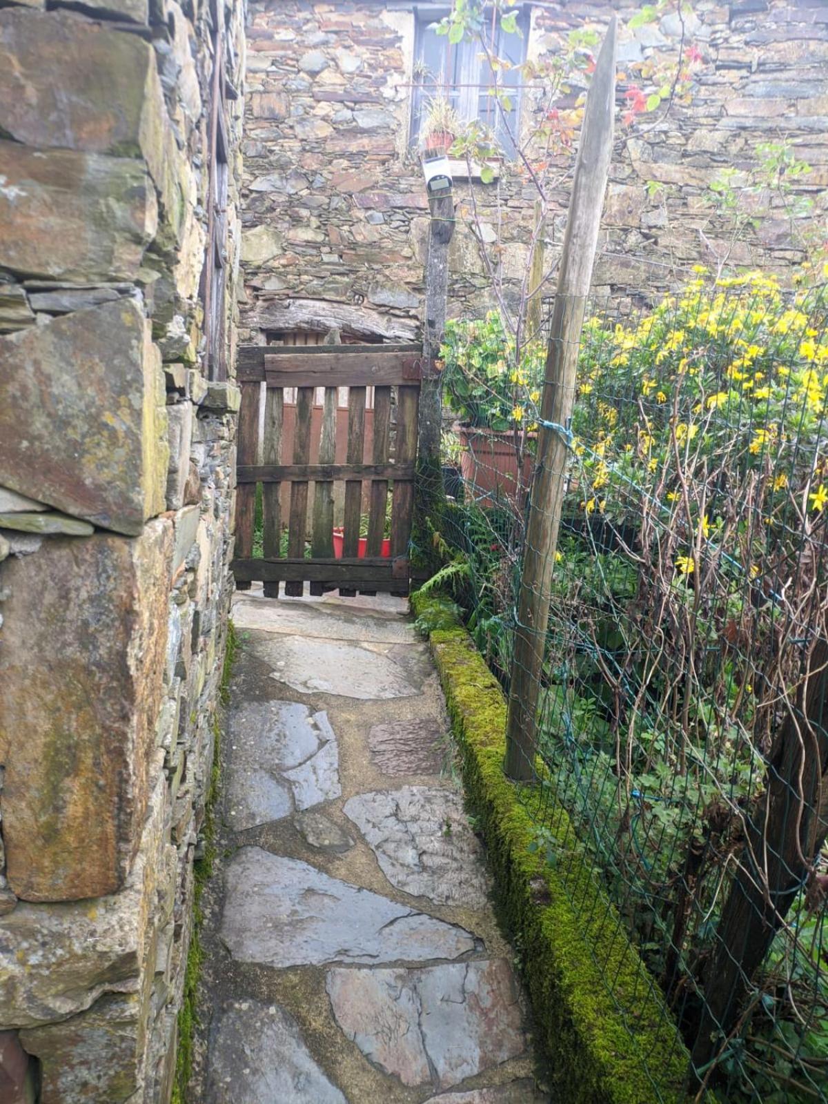 Villa Casa Do Pastor Lousã Esterno foto